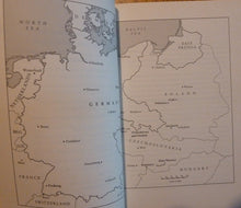 Load image into Gallery viewer, Born Survivors
