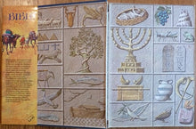 Load image into Gallery viewer, The Children&#39;s Bible in Colour

