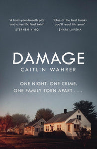 Damage: An unputdownable and emotionally gripping debut with a twist you won?t see coming