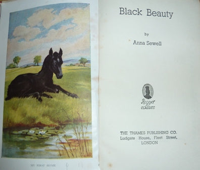 Black Beauty