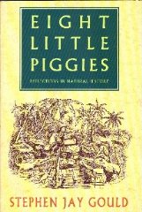 Eight Little Piggies Reflections In Natu