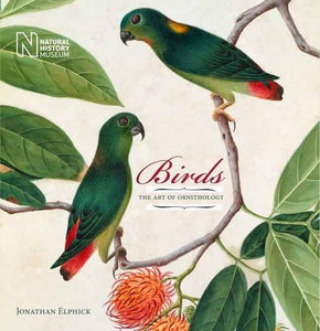 Birds: The Art of Ornithology